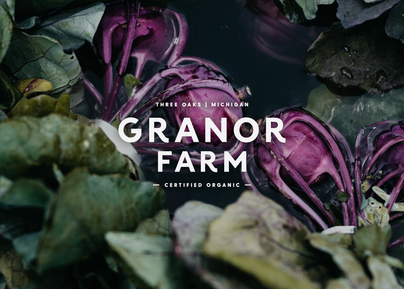 One Darnley Road Granor Farm Branding Logo 01