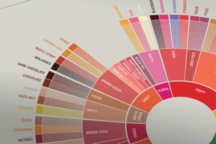 Scaa Flavor Wheel One Darnley Road Design 03